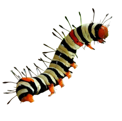 a button that looks like a bug